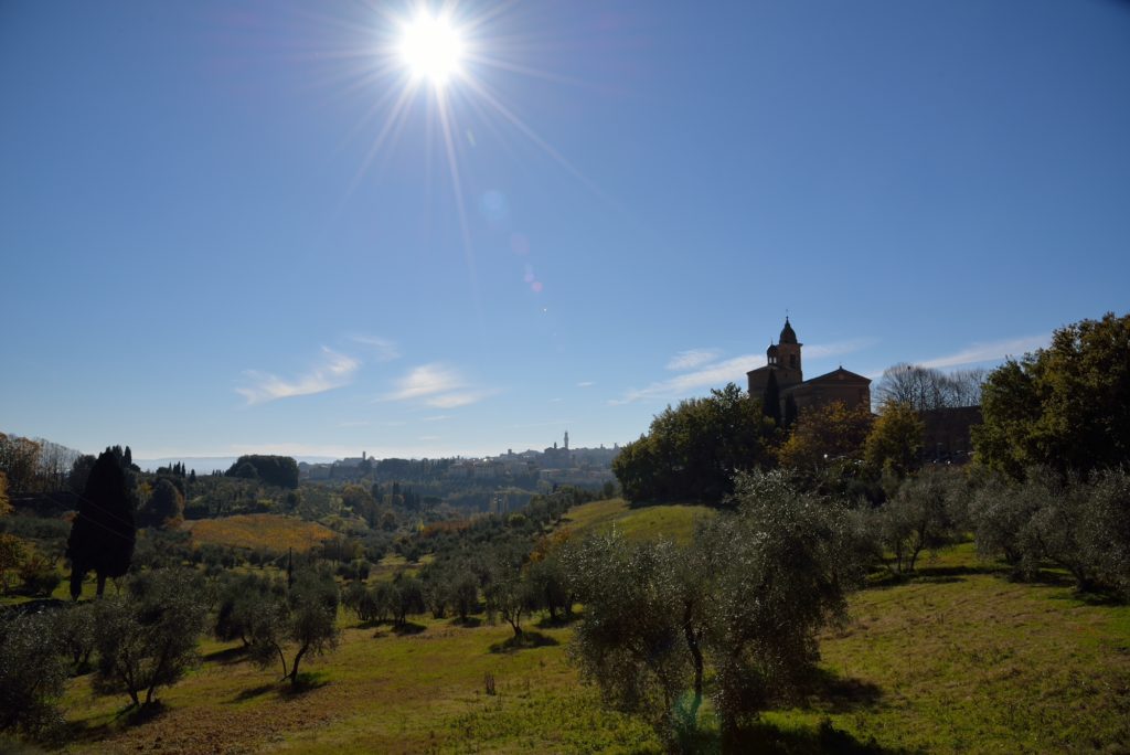 The magic hill – Fondazione Achille Sclavo