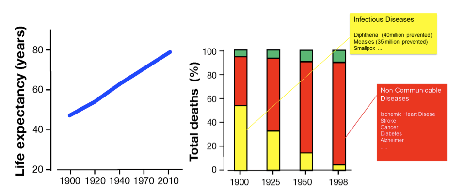 Fonte: Rappuoli, R., M. Pizza, G. Del Giudice, and E. De Gregorio. 2014. "Vaccines, new opportunities for a new society." Proc Natl Acad Sci U S A 111 (34):12288-93. doi: 10.1073/pnas.1402981111.