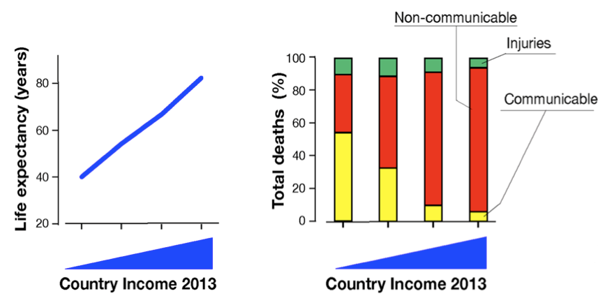 Fonte: Rappuoli, R., M. Pizza, G. Del Giudice, and E. De Gregorio. 2014. "Vaccines, new opportunities for a new society." Proc Natl Acad Sci U S A 111 (34):12288-93. doi: 10.1073/pnas.1402981111.