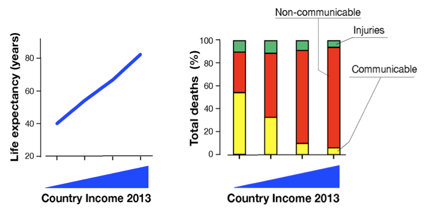 Fonte: Rappuoli, R., M. Pizza, G. Del Giudice, and E. De Gregorio. 2014. "Vaccines, new opportunities for a new society."  Proc Natl Acad Sci U S A 111 (34):12288-93. doi: 10.1073/pnas.1402981111.